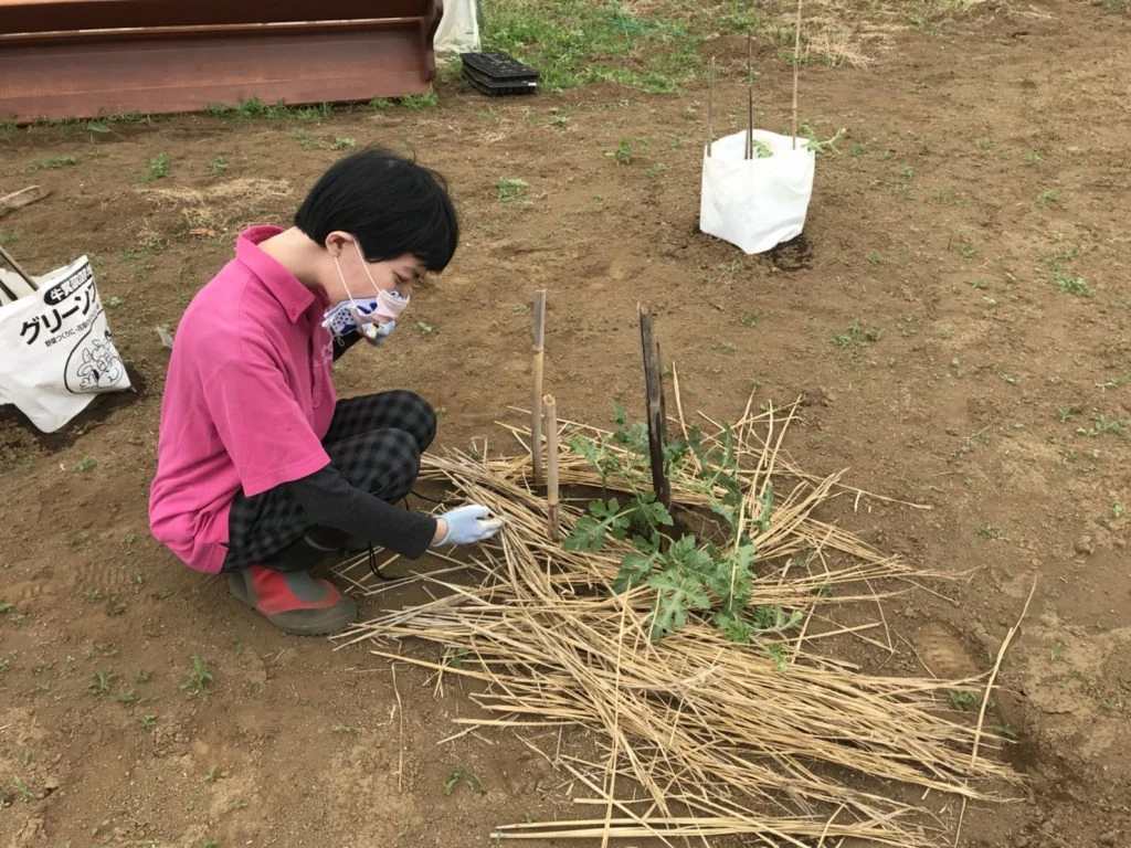 心で感じた農作業の楽しさの掲載画像