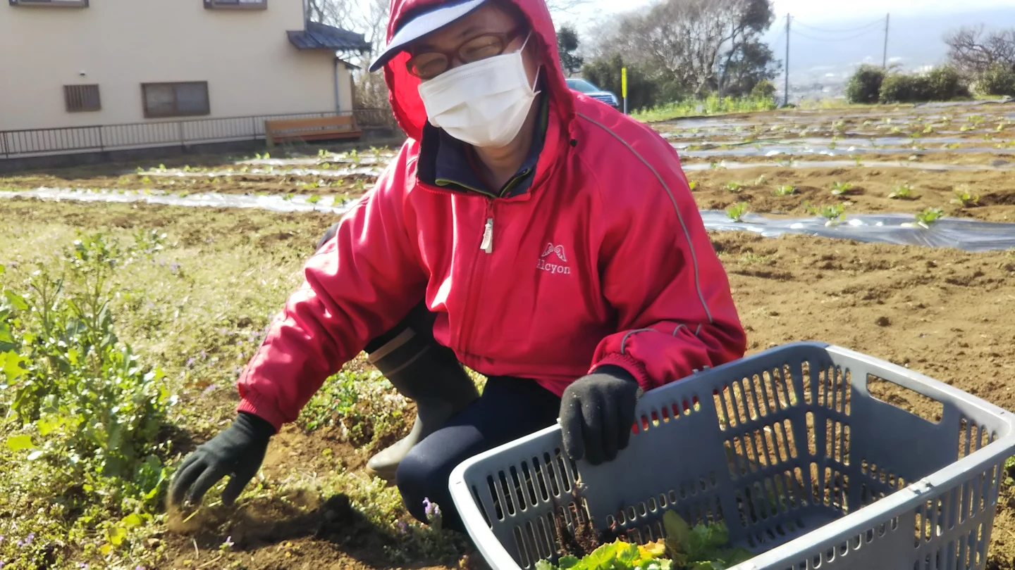 名人芸。あっぱれの掲載画像