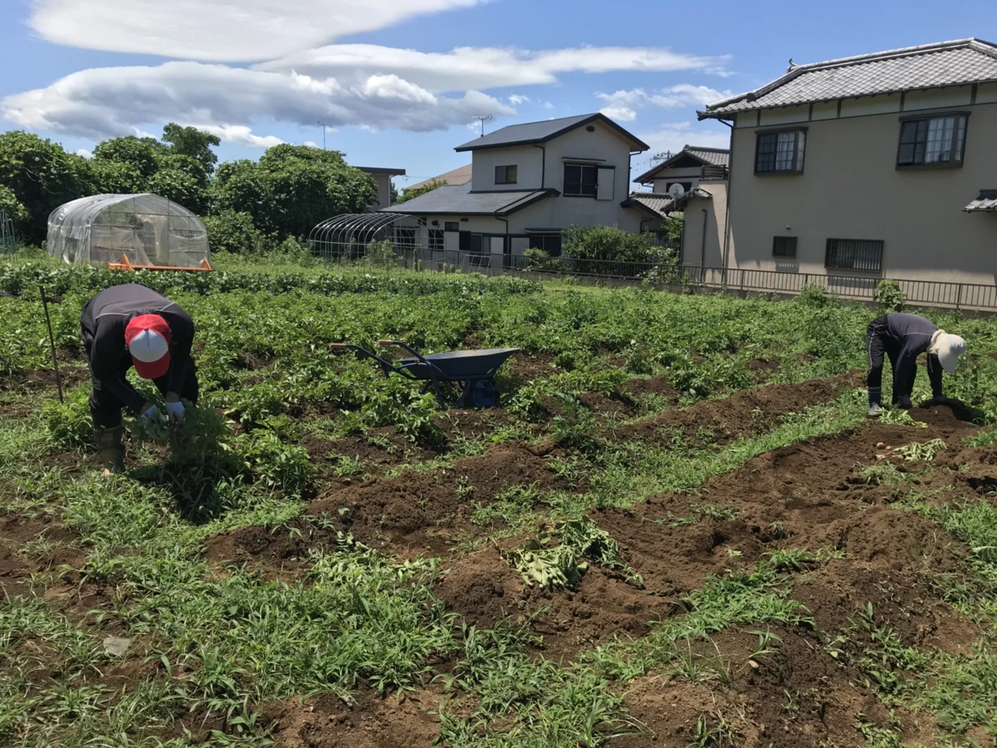 サポーターと共に汗をかこう！の掲載画像
