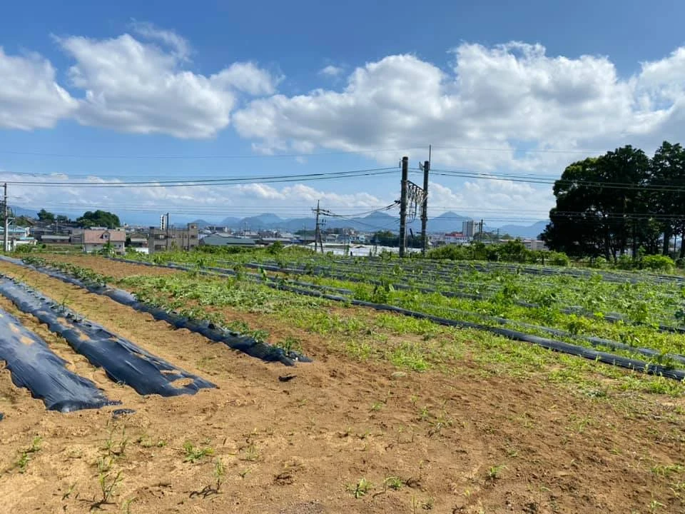 新しい農地のチェック！！の掲載画像