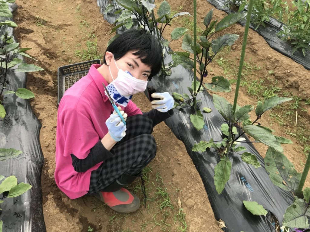 心で感じた農作業の楽しさの掲載画像
