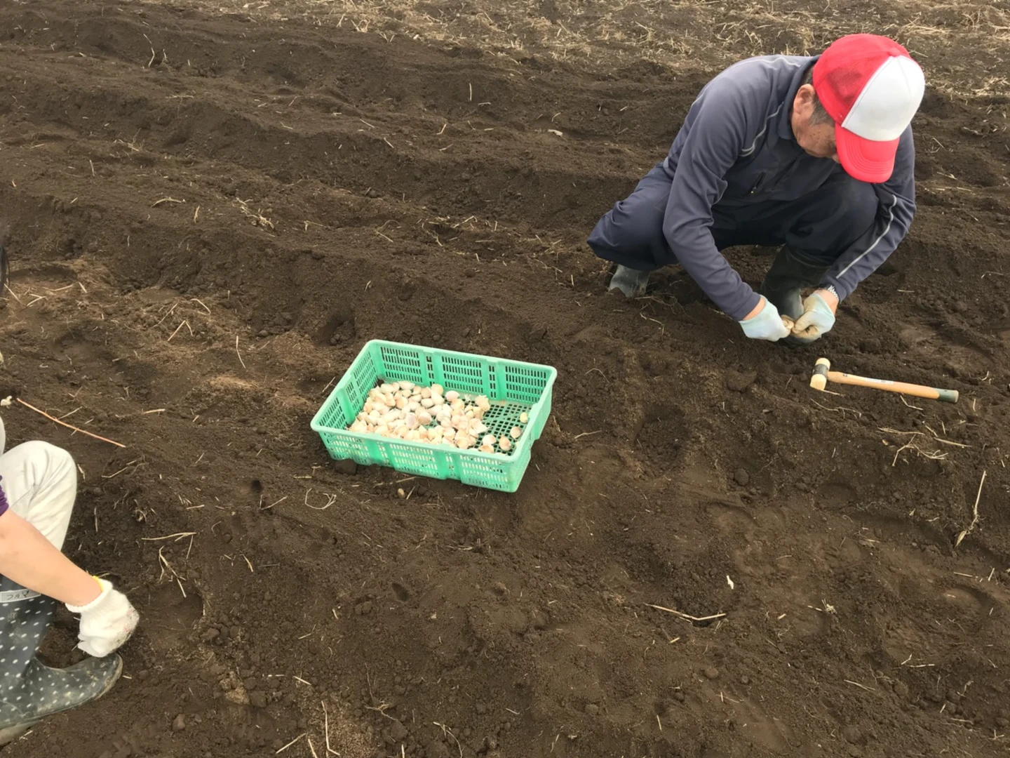 今日も笑顔に農作業の掲載画像