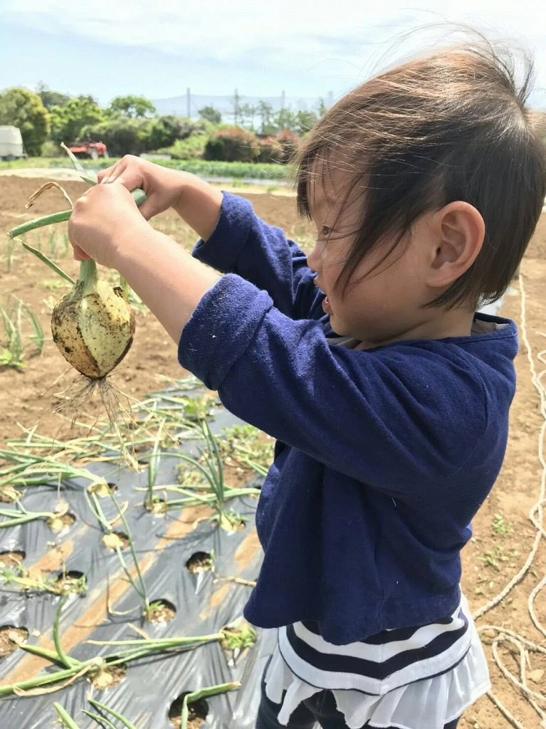 スタッフ考え中！の掲載画像