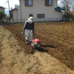 大きく育てーの写真