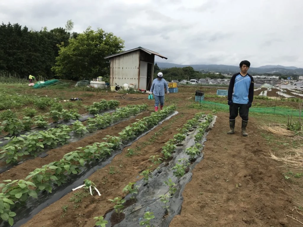 心で感じた農作業の楽しさの掲載画像