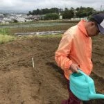 植え付けと種まきをしましたの写真