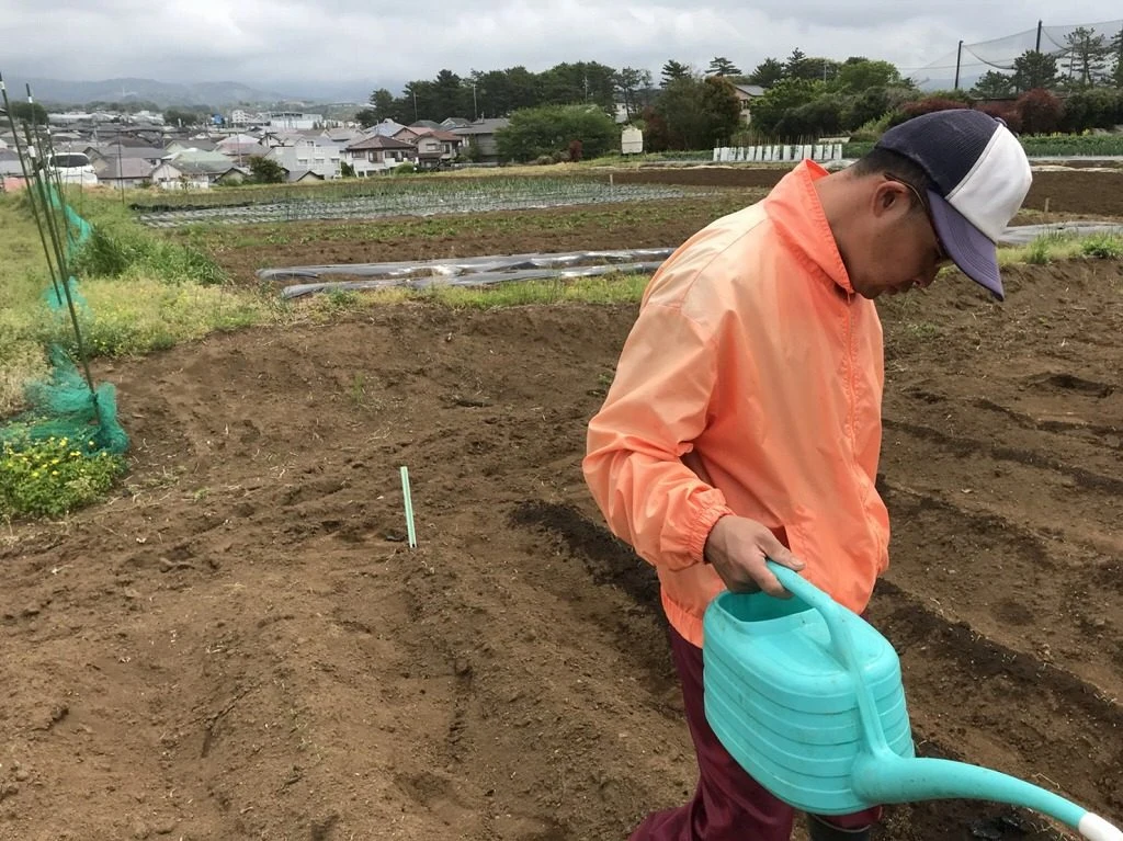 植え付けと種まきをしましたの掲載画像