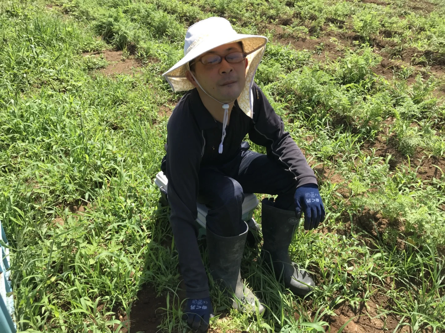 次の野菜の準備と新アイテム！の掲載画像