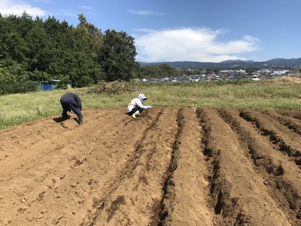 美味しく育て～　名人も復活！？の写真