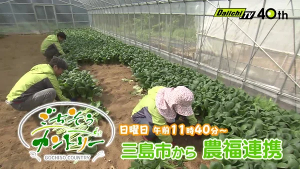 三島型農福連携！！の写真