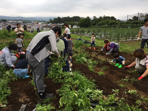 第一回　うなぎ野菜収穫体験の写真