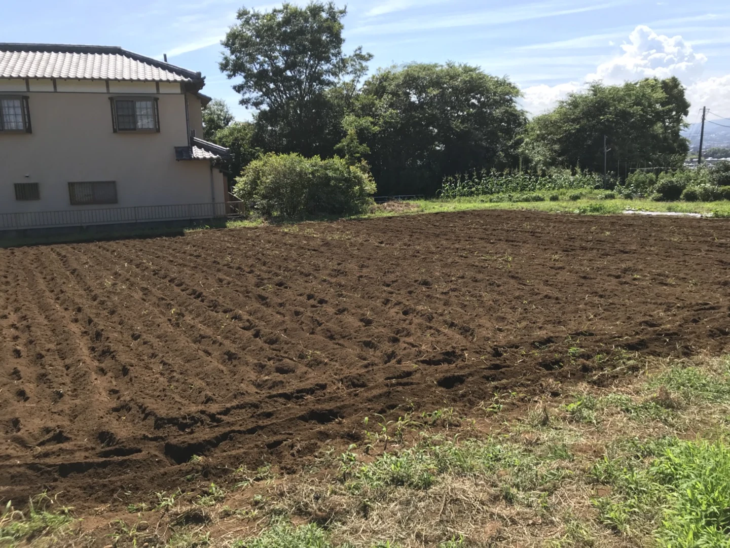 次の野菜の準備と新アイテム！の掲載画像