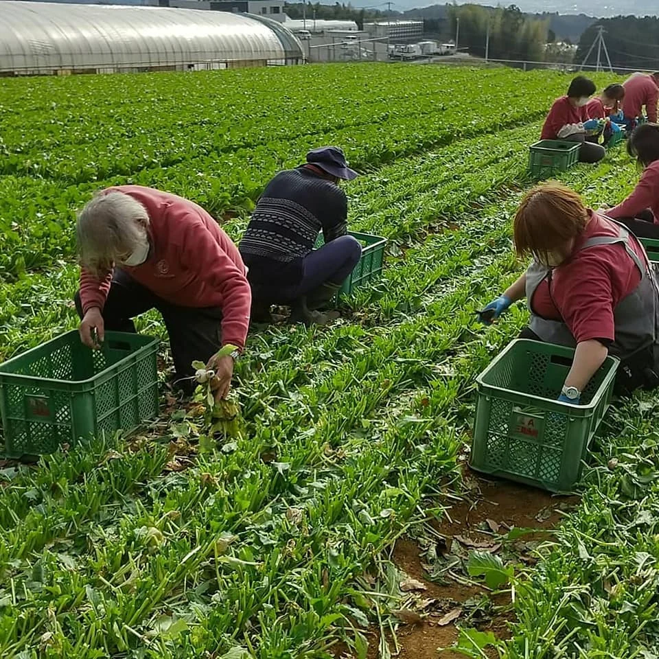 静岡県第一号農福ジョブコーチ取得の掲載画像