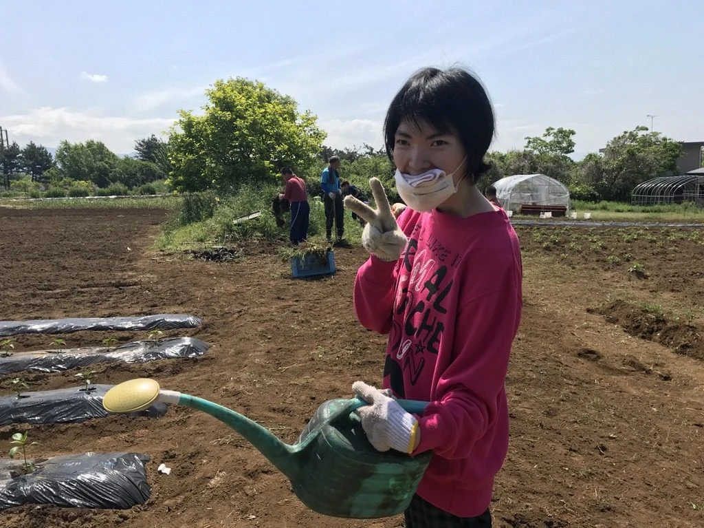 久しぶりの畑～の掲載画像