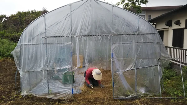 雨そんな日には！！！の写真